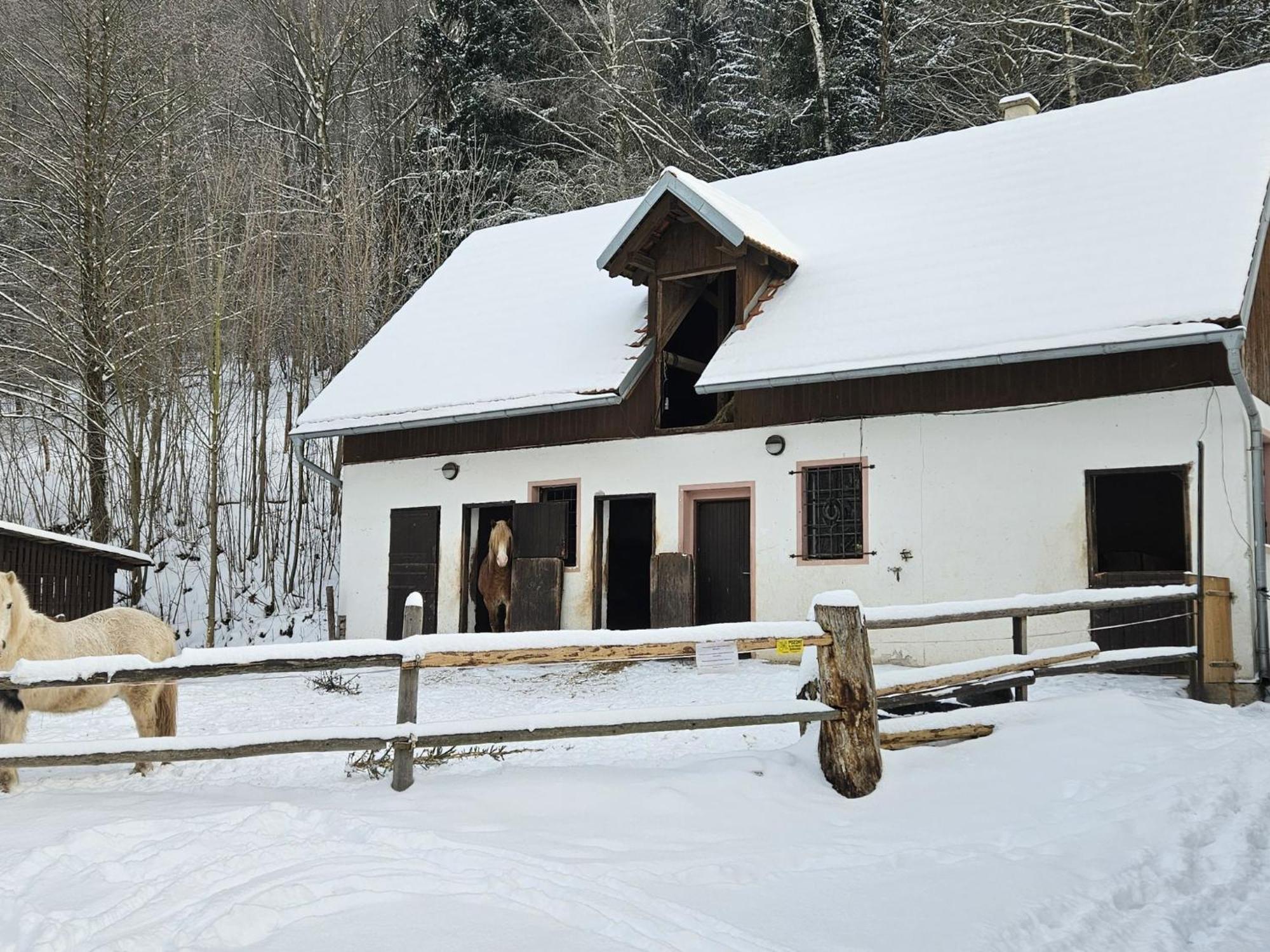 Holiday Home Starkov By Interhome المظهر الخارجي الصورة